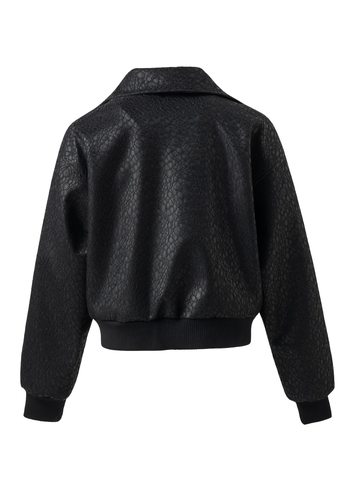 NIGHT?RIDER?CROCODILE?BOMBER